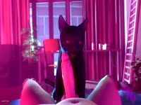Transgender hentai babe gets dick sucked by black cat in this beastiality movie